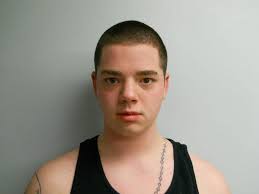 Concord Police Allege Loudon Teen Shot Up Longmeadow Drive Home