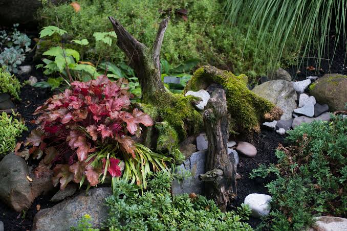 secret garden tree stump hideaway