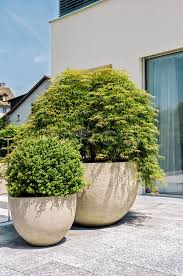 Runde Pflanzgefasse Akzente Auf Der Terrasse In 2020 Pflanzen Garten Pflanzgefasse