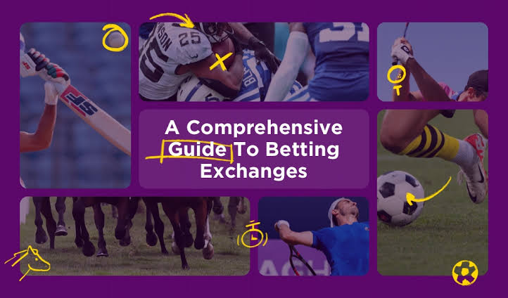 A Comprehensive Betting Exchanges Guide | BETDAQ TIPS