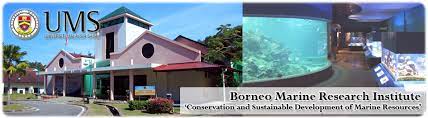 Universiti malaysia sabah borneo marine research institute best time to visit marine aquarium and museum(preferred time): Aquarium Marine Museum Ipmb Official