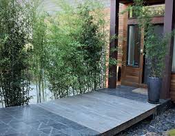 Katrina designed a contemporary garden inspired by japanese landscapes, with leafy monochromatic forms to mark the influence, in addition to its simple lines and repetitive patterns. Modern Asian Garden Design Japanese Garden Landscape Architecture And Garden Design In Berkeley Ca Zen Master Gardens