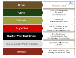 Image result for dark black stool human poop