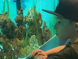 Fundraiser for Stephanie Puff by Stephanie Puff : Please help Gino!