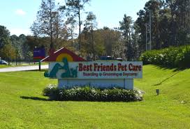 Delivering the very best in boarding, doggy day camp, grooming, and. Help Homeless Pets By Donating To The Angel Tree At Best Friends Pet Care Walt Disney World Mousesteps