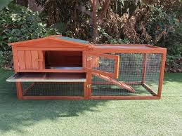 36 x 25 x 38.5 inches. 5 Best Outdoor Guinea Pig Cages In 2021 Guinea Pig Housing