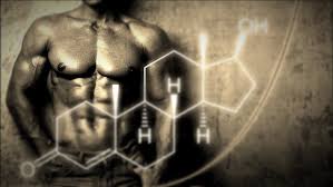Еда и напитки повышающие тестостерон. Здоровье мужчины | fitnechannel | Яндекс Дзен