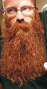 Full Thick Red Beard Braided Beard Red Beard Beard Life