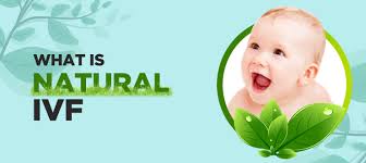 Best Natural Cycle Ivf Natural Ivf Cycle Fertility Treatment Aveya