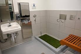 Spotting video @ luis muñoz marín international airport (tjsj/sju)! Orlando International Airport Mco Pet Relief Areas Pet Friendly Travel