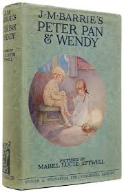 Pin By Chelsea Camp On Peter Pan Children S Book Illustration Vintage Children S Books Antique Books