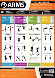 Work Out Workout For Arms