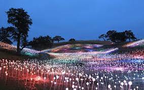 Bruce Munro S Field Of Light Installation In California Is Like The Super Bloom On Steroids Installation Art Light Installation Paso Robles