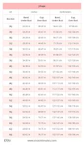 British Uk Bra Sizes In Inches And Centimeters