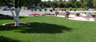 How much water to use. Healthy Lawn Tips For The Arizona Climate Updated 2020