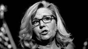 Liz cheney serves as wyoming's lone member of congress in the u.s. Demkioorpy6r M