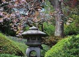 Sf Sanfrancisco California Japanessegarden Zengarden Zen Garden Japanese Garden Chinese Garden
