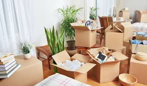 Type of individualism apartment renter: How To Move House Plants Long Distance Fantastic Removals Blog