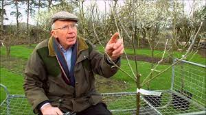 First, to make the tree easy to maintain and harvest by controlling the height and shape. How To Prune Young Fruit Trees Youtube