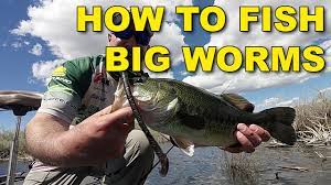 Tips and techniques that show the right way to fish plastic worms for big bass.related videos:how to texas rig a. How To Fish Plastic Worms The Best Ways Bass Fishing Youtube