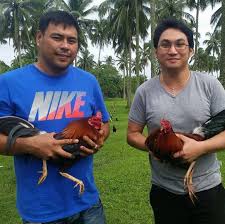 Cockpit arena boss alex feb. Exton29 Gamefarm Samal Samal 2021