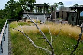 Places kiawah island, south carolina city hall town of kiawah island, sc. Featured Project Private Kiawah Island Sc Residence Greenroofs Com