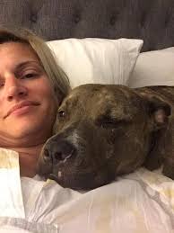 Understanding dog behavior and learning is important