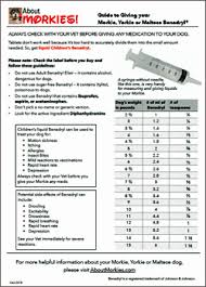 Benadryl For Dogs About Morkies