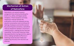 Image result for Nalmefene