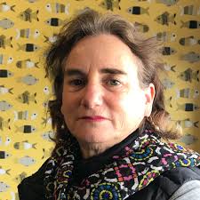 Theft from South Berkeley mail truck may have included ballots