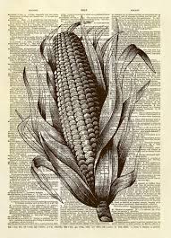 Ear Of Corn Dictionary Art Print Dictionary Art Print Dictionary Art High School Art Projects