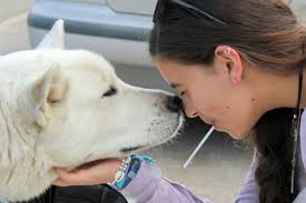 Michael Blum (@mxblum)