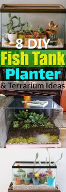How To Turn Old Fish Tanks Into Amazing Planters And Terrariums Fish Tank Garden Diy Fish Tank Fish Tank Terrarium