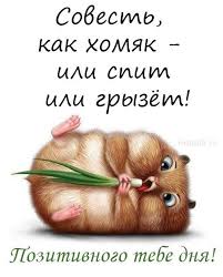 однажды рискнув можно остаться счастливым на всю жизнь цитата Dobroe Utro Prikolnye Kartinki 70 Novyh Kartinok S Dobrym Utrom Veselye Mysli Dobroe Utro Kartinki