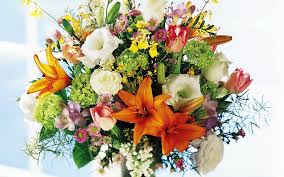 Perchè è fiore simbolo della festa delle donne del giorno 8 marzo. Mazzo Di Fiori Hd