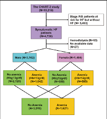 Study Flowchart Hb Hemoglobin Hf Heart Failure