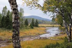 Fram till och med år 2000 klassades orten som en småort. Michael Nordeman Photography Valadalen In Jamtland Sweden