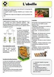 Lecture Le Petit Carnet D Amelise Abeille Lecture Comprehension Ce2 Regle De Francais