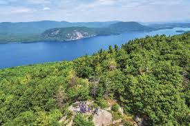 What to do about harmful algal blooms?