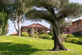 Ci uniamo al dolore della famiglia per la perdita della cara carla e rinnoviamo le nostre condoglianze. Residence Sant Alessandro Gastezimmer Settecamini