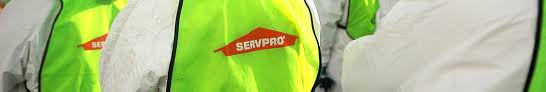 2118 59th st (8,434.49 km) 63110 st. Servpro Of St Louis Central Linkedin