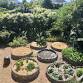 Permaculture Year Round Fruit and Veges Day Course event image