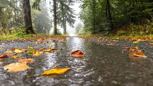Trend Google: wetter