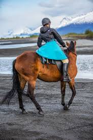 Tongass Rain Riding Skirt Covers Saddle And Rider Waterproof Breathable Gorgeous Riding Skirt Riding Horse Blankets