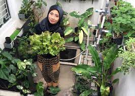 Berikut ini cara membuat kebun. Retno R Kusumaningtyas Menghasilkan Uang Dari Tanaman Di Halaman Rumah Tabloidbintang Com