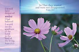 We did not find results for: Field Of Flowers Daily Scriptures And Good Thoughts