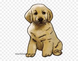 Check spelling or type a new query. How To Draw A Cute Puppy Dog Golden Retriever Clipart 1273043 Pikpng