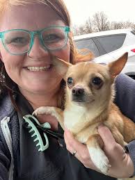 Lost Dog in Ionia County near 44 and Long Lake Road