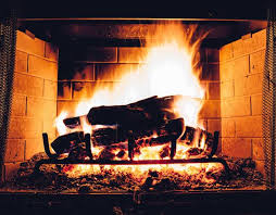 The big list of thing to do on the gold coast & hinterland. Gold Coast Firewood