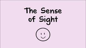 Children will themselves work to develop their focus and skills with these learning games. The Sense Of Sight Youtube